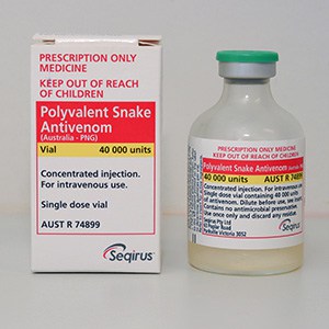 Medication box with the name Polyvalent Snake Antivenom. A vial next to the box.
