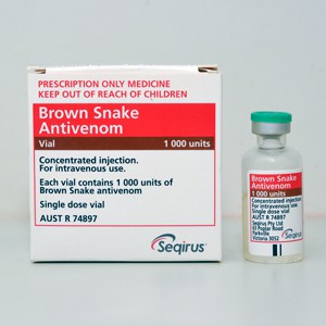 Medication box with the name Brown Snake Antivenom. A vial next to the box.